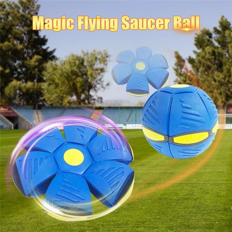 Pet Flying Saucer/Outdoor Sports